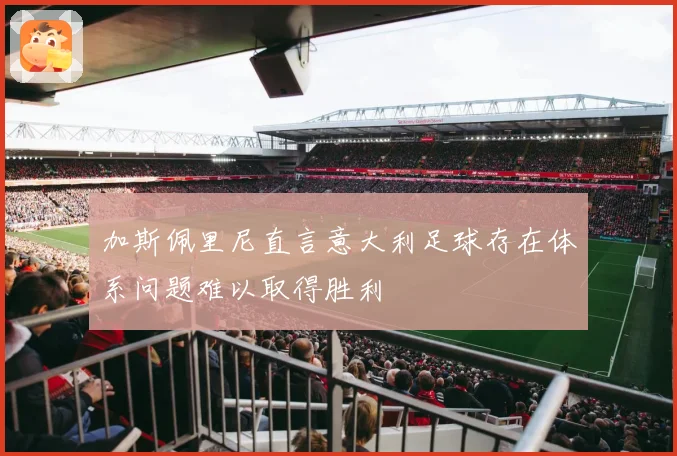 加斯佩里尼直言意大利足球存在体系问题难以取得胜利