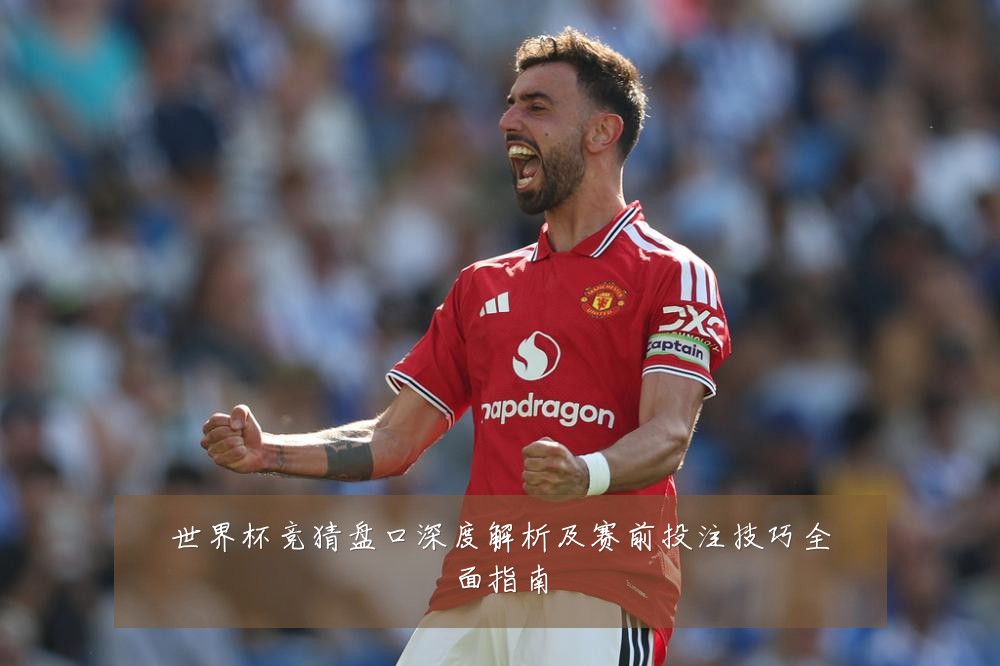 世界杯竞猜盘口深度解析及赛前投注技巧全面指南